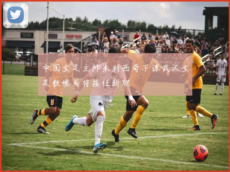 中国女足主帅米利西奇下课武汉女足教练或将接任新职