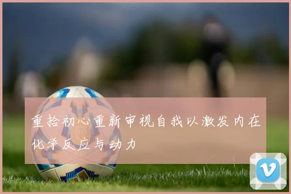 重拾初心重新审视自我以激发内在化学反应与动力
