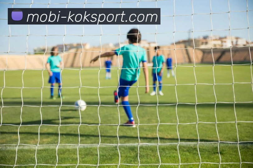 KOK体育APP 体育赛事宣传图