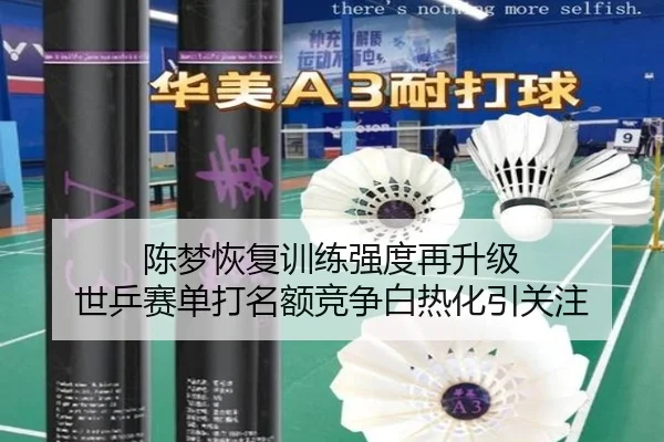 陈梦恢复训练强度再升级 世乒赛单打名额竞争白热化引关注